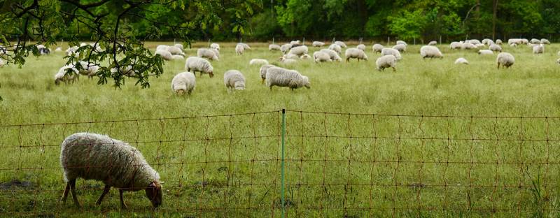 Bail à ferme, bail emphytéotique, bail à vie... Analyse de ces contrats particuliers